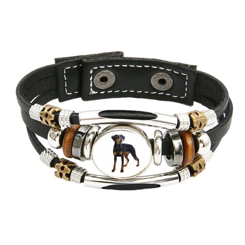 Doberman dog pet - doberman, family