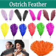Large Long Ostrich Feathers