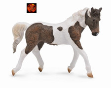 Bashkir Curly Mare Pinto Horse