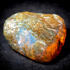 Impressive Natural Dominican