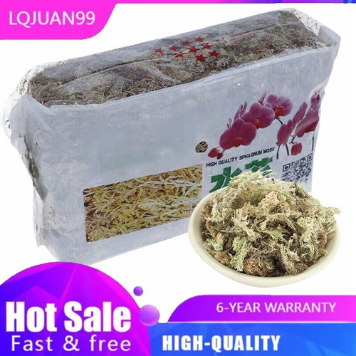 Natural sphagnum moss dried - sphagnum,