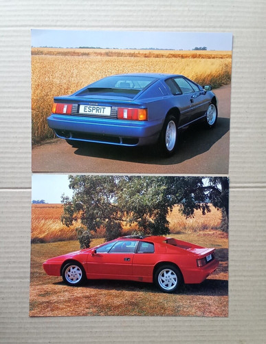 Lotus esprit and - esprit, s