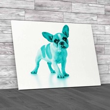 Adorable French Bulldog Puppy