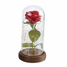 Easylife Forever Rose LED Light, Light Up Rose in Glass Dome, LED Flower Lamp
