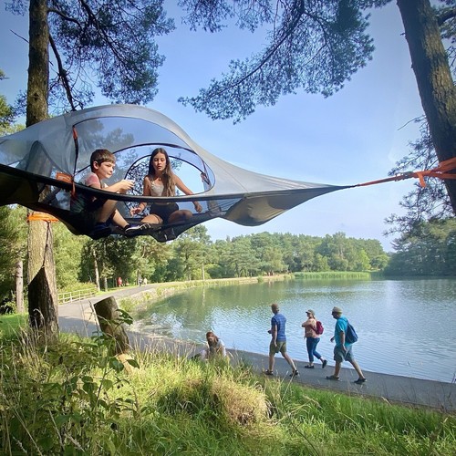Person tree tent - person,