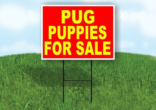 Pug puppies for sale - pug,
