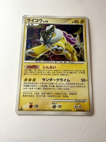 Raikou dpbp 293 dp3 - dpbp#293, shining