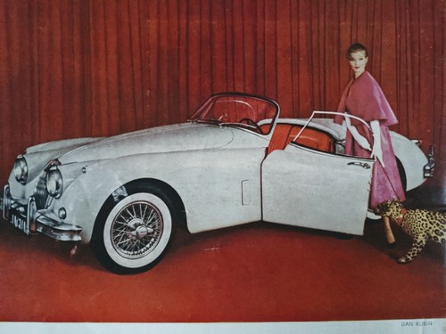 1958 print jaguar - print,