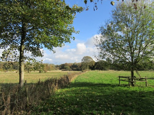 Photo 12x8 near wykeham - near,