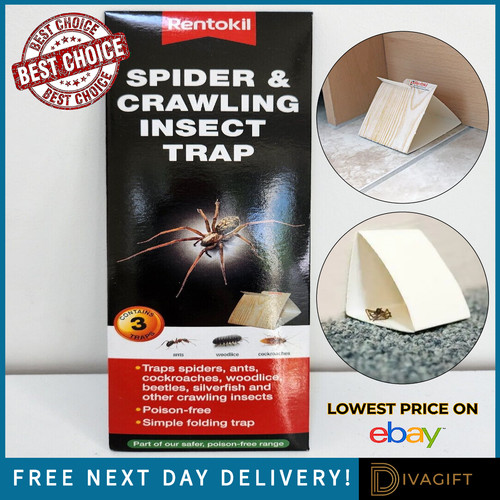 Rentokil spider glue - 3,