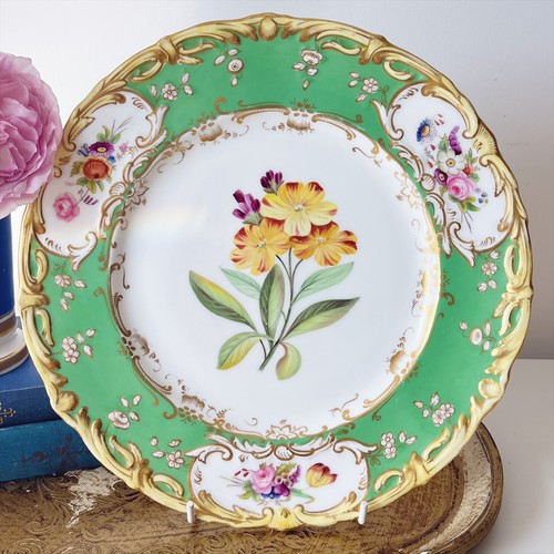 Antique coalport stephen - antique,