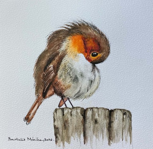 Robin original watercolour - original,