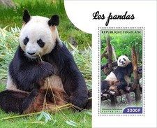 PANDAS Giant Panda Bears Animals Mammals MNH 1v-Stamp Sheet #3 (2022 Togo)