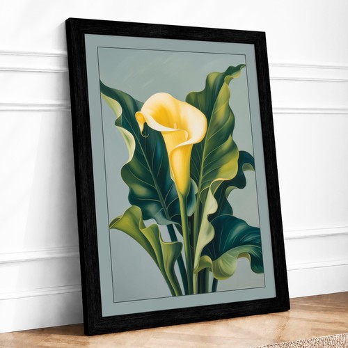 Calla lily study - calla, botanical