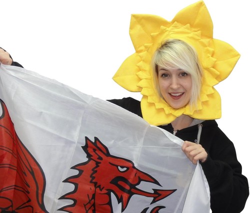 Welsh davids daffodil hat - davids,