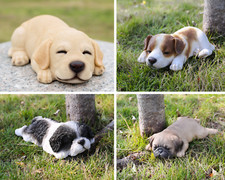 Sleeping Puppy Dog Garden