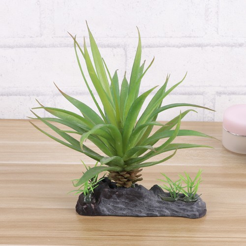 Tortoise toys for tank plants - tortoise,