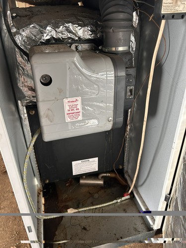 Firebird enviro green - firebird, 26kw