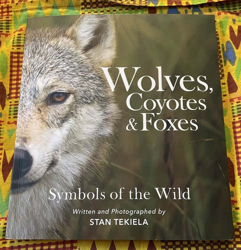 Wolves coyotes and - and, foxes