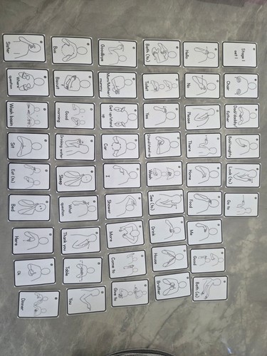 Makaton stage flash cards - stage, 1