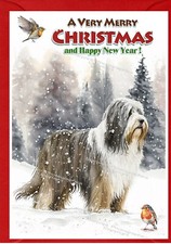 Bearded Collie Dog Christmas