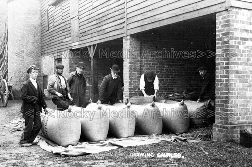 Nnl social history - nnl-80, history,