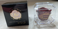 Eternal Petals - Real Rose