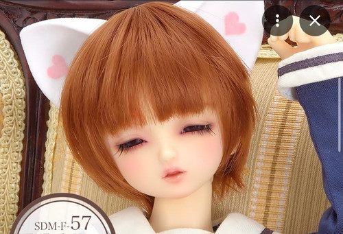 Volks super dollfie brand - brand, new
