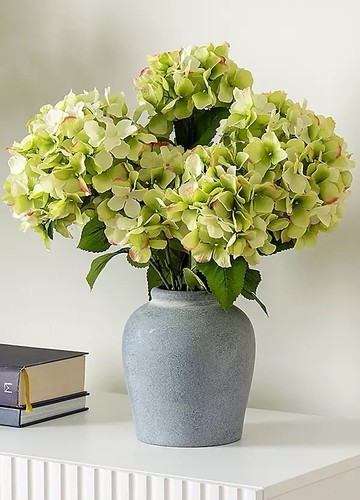 Scottish everlastings ltd - everlastings,