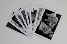 LAUREL & HARDY JobLot Bulk Set Autograph Signed PHOTO Signature Prints Gift 