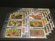 1983 Grandee / Player British