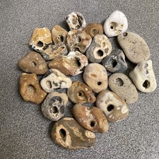 Twenty Natural Hag Stones