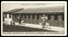 Ogden's - 'Greyhound Racing