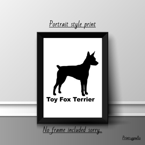 Toy fox terrier picture - terrier,
