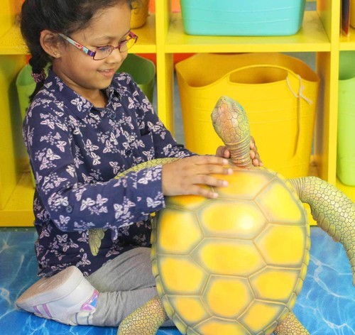 Jumbo sea turtle - jumbo,