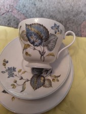 Vintage Shelley Fine Bone China Lime Grove Trio Cup Saucer Plate  (H12)