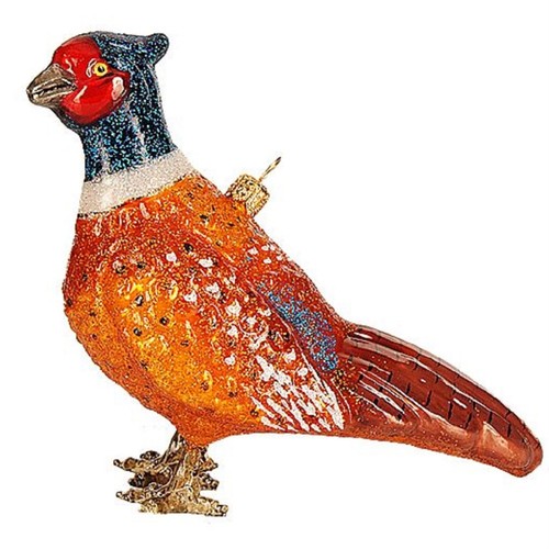 Ring necked pheasant polish - ring-necked,