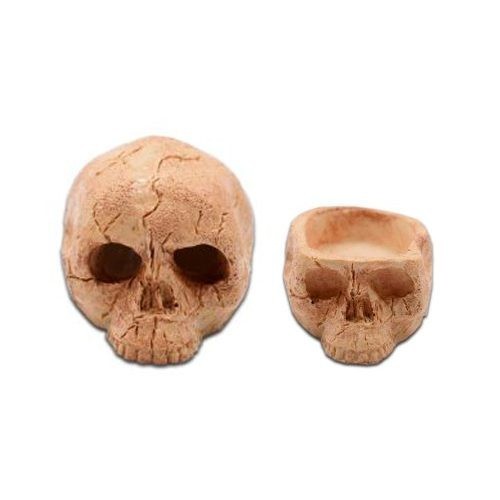Micro skull hide and - micro, for