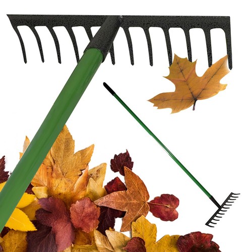 New tooth lawn - new,
