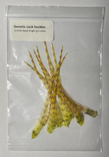 Genetic cock hackle feathers