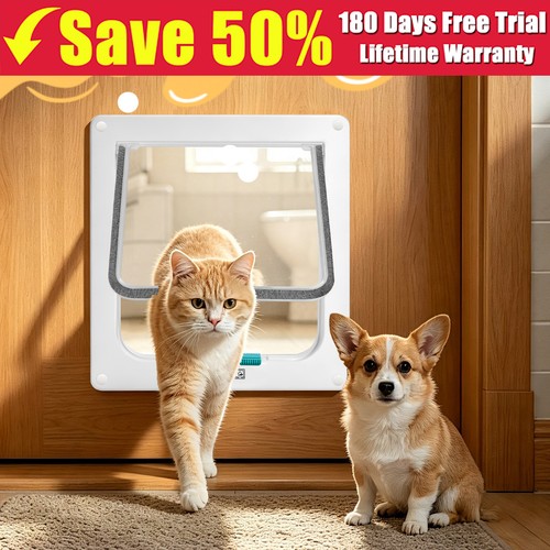 Large glass fitting cat flap - large,