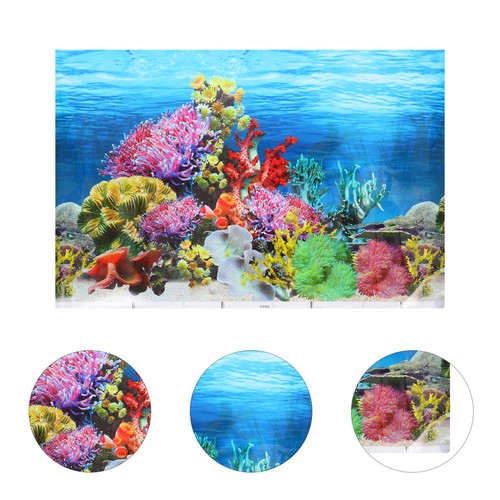 Aquarium fish tank background - aquarium,