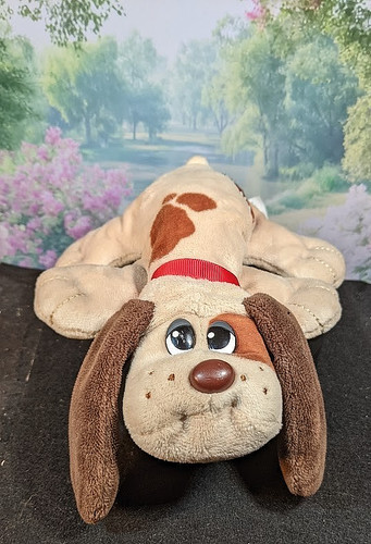 2020 hasbro pound puppies - hasbro,