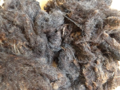 Raw fleece 100 natural shades - raw,