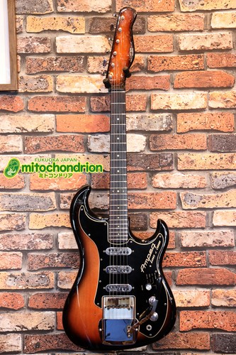 Burns 1960 ampeg wild dog - burns,