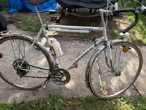 Peugeot bicycle vintage - bicycle,