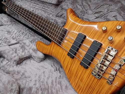 Warwick bass streamer stage - bass,