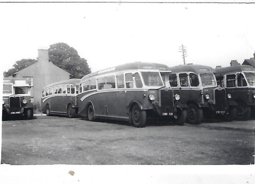 Bus photo cwo410 red - cwo410, &