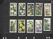 WILLS's CIGARETTE CARDS 1ST AND 2ND EDITION COMPLETE SETS OF 50 WILD FLOWERS