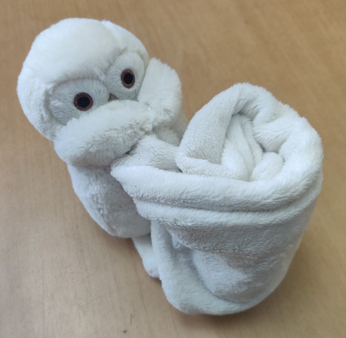 Jellycat bashful snowy - jellycat, owl